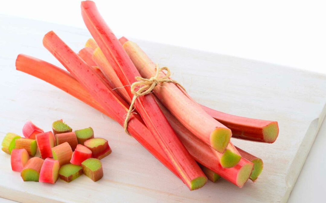 Les bienfaits de la rhubarbe, une plante de saison pleine de goût