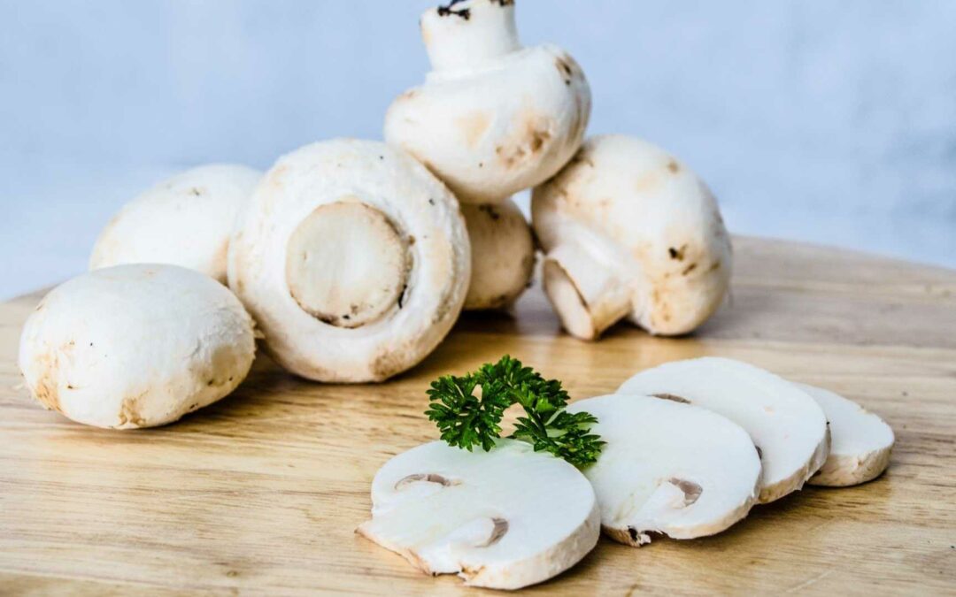 Les différents types de champignons disponibles en automne et des recettes pour les préparer